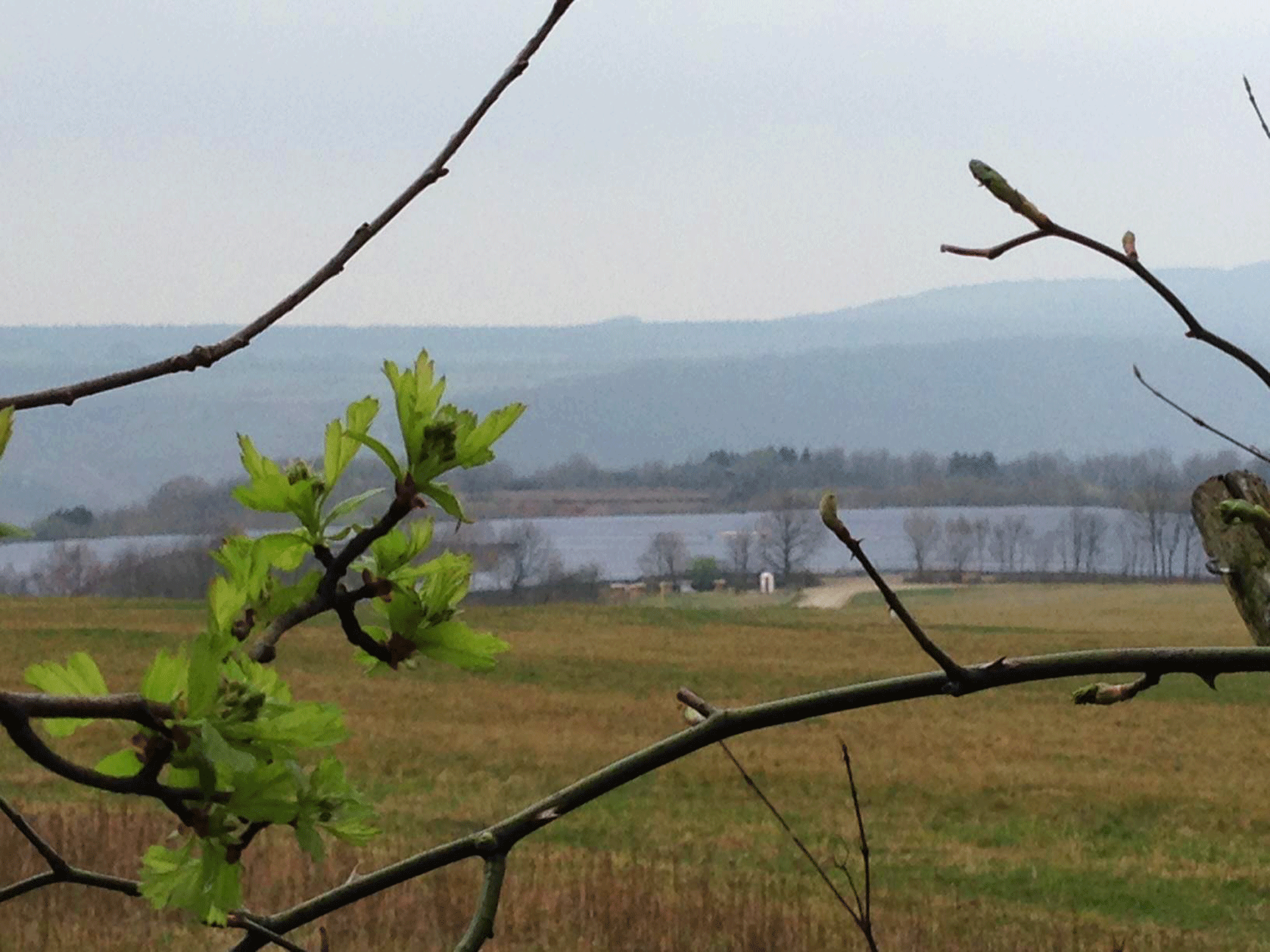 Neumagen-Dhron - Bild 3